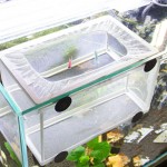 Yardwe 3 Pièces Aquarium D'élevage De Poissons Boîte Fish Tank À Couver Incubateur Boîte D'isolation Acrylique Diviseur pour Bébé Écloserie
