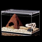 AADEE Boîte d'alimentation pour insectes en acrylique transparent assemblée Assemblage à monter soi-même Pour reptiles et escargots