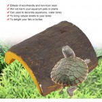 Andraw Boîte de mangeoire de Reptile boîte de Peau de Reptile de caverne de Cache Paysage écologique pour la Tortue
