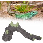 Asixxsix Grotte de Peau de Reptile boîte de Reptile Robuste lézard d'environnement Naturel pour Reptile