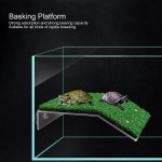 Fishawk Plate-Forme de pèlerin Accessoires d'aquarium en Plastique Petit pour ReptileL