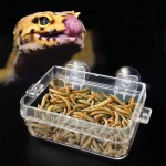 Mangeoire à Reptiles Bassin Transparent d'alimentation en fourrage Vivant de ver visqueux Mangeoire Anti-évacuation avec Ventouse pour lézard caméléon d'iguanes de Gecko Snakes