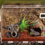 YongliJc Décoration de Reptiles en résine Simulation de résine d'aquarium Terrarium de réservoir de Poissons de Reptiles de Grotte cachant des Ornements de décoration de PaysageType E