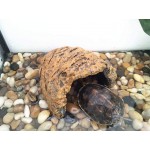 OMEM Abri d'élevage de reptiles Humidifie Cachette Habitat Grotte Décoration de terrarium Plate-forme pour tortues