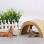 OMEM Boîte à Cacher pour Reptiles Petits cachets et grottes pour décoration d'habitat Fournitures pour Reptiles