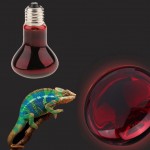 B Blesiya E27 Ampoule Infrarouge de Nuit Chauffante Lampe de Chauffage pour Terrarium Reptiles Animaux de Compagnie 50W
