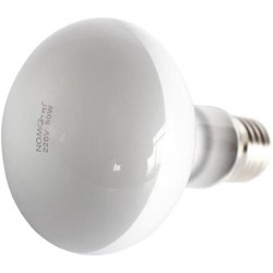 Baoblaze Lampe du Jour Ampoule Globe Chauffage pour Reptile Blanc E27-50w