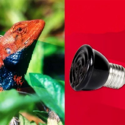 E27 Mini-Infrarouge Céramique Ampoule Chauffant Eleveuse Lampe Globe pour Reptile Animal -Noir Noir 40W