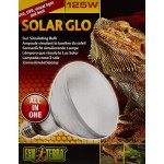 Exoterra Ampoule et Solar Glo pour Reptiles et Amphibiens 125 W