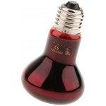 F Fityle E27 Ampoule Terrarium Lampe de Reptile pour Animaux de Compagnie Rouge 75W