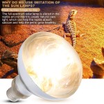 La Lampe Solaire UVA UVB fournit Une Lampe Solaire de Reptile de Chaleur pour Les Amphibiens de Tortues Reptiles
