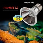 Lampe à chaleur UVB UVA pour tortue d’eau réglable 360° avec 2 ampoules de 25 W et 50 W