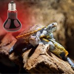 Perfeclan E27 Lampe de Chauffage Infrarouge Eclairage Chaud pour Terrarium Reptiles Hamster Petits Animaux 50W