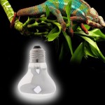 PETSOLA 2X Amphibien Reptile Basking Lampe Ampoule pour Animaux Terrarium 40W & 60W