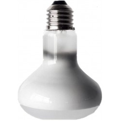 Sharplace Eclairage de Jour E27 Ampoule Globe Chauffant pour Reptile Blanc en Verre éclairage Ampoule Soleil Lumière 40w