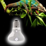 SM SunniMix 2X E27 40W 60W Ampoule Terrarium Reptile E27 Lampe UVA Eclairage Chauffante pour Lézard Tortue Petits Animaux -Blanc