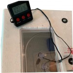 Thermomètre et hygromètre numérique de reptiles pour reptiles Terrarium Terrassement jauge de température extérieure intérieure numérique et humidité