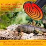 AIICIOO Céramique Lampe Chauffante Reptiles Durable Aucune Lumière Infrarouges Lampe Chauffante pour Animal Lézard Poussin Serpent Hamster E27 220-240V 100W 2pcs