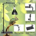 Douille de lampe pour reptiles abat-jour terrarium réglable en métal support de lampe d'atterrissage avec socle abat-jour pour amphibiens lézards tortues serpents araignées grand