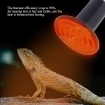 Fditt E27 Céramique Lampe Chauffante Infrarouge Reptile Chaleur Ampoule pour Terrarium Aquarium Amphibiens Serpent Poulets Éleveurs Oiseaux Animaux 220V-240V2#