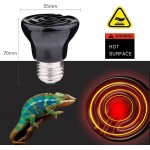 Lampe chauffante en céramique 1 pack 100 W E27 Terrarium Lampe chauffante pour tortues lézards poules serpents petits animaux