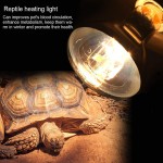 Nikou Lampe chauffante pour Reptiles Ampoule de Lampe chauffante pour Reptiles UVA UVB Pratique pour Tortue lézard de Terrarium de Serpent pour la Plupart des Supports de Lampe80W