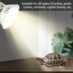 rongweiwang Reptile Heat Lampe Ampoule Lampe chauffante pour Reptile Pet Tortoise Couveuse E27 UVA + UVB 25W