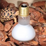 WESEEDOO Lampe Chauffante Terrarium Lampe Chauffante Reptile Lampe de Chauffage Reptile Lampe Chauffante De Chaleur en céramique Lampe Ampoules 60w