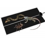 Hmpet Tapis Chauffant réglable pour Reptiles pour Terrarium avec contrôle de température pour Reptiles Tortue Serpent lézard Gecko Aquarium,35W