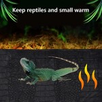 Tapis chauffant pour reptiles Imperméable Avec contrôle de la température Réglable Pour la chaleur des reptiles