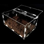 Baoblaze Cage de Boîte D'élevage D'insectes de Réservoir d'alimentation de Terrarium de Reptile d'animal Familier de Plante Acrylique Clair S