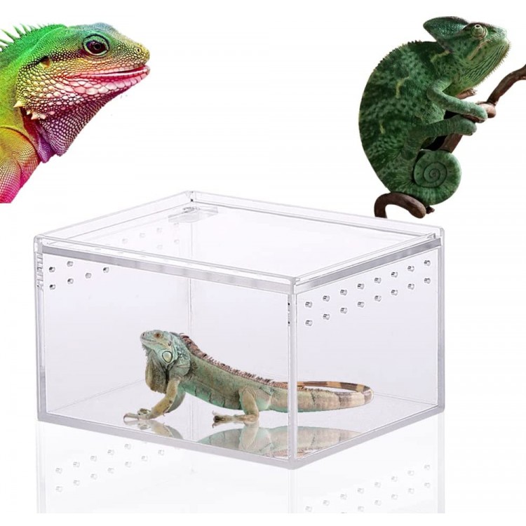 Boîte d'alimentation D'insectes Reptiles Boîte Boîte D'élevage Transparente pour Reptiles Habitat De Terrarium Transparent pour Reptiles pour Reptiles Spide Lézard Scorpion 10.3x8.3x6CM