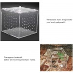 Boîte transparente de visualisation d'insectes de reptiles boîte de reproduction de reptiles acryliques de stockage de nourriture vivante pour grillons araignées escargots ermite crabes tarentules Ge