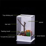 DHYBDZ Terrarium de Reptiles en Acrylique Mini boîte d'alimentation d'insectes Transparente pour Animaux de Compagnie boîte de Transport de Reptiles pour Petits Serpents araignées Insectes,M Size