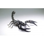 Lucky Reptile Kit de démarrage 50 cm « araignée + Scorpion » Noir kit Complet Terrarium pour araignées et Scorpions