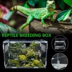Magent Boîte d'alimentation D'insectes Terrarium Phasme Terrarium pour Reptile Amphibien Boîte Transparente D'élevage De Reptiles en Acrylique
