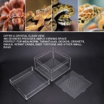 Nikou Boîte de Reptiles pour Animaux de Compagnie Habitat de Terrarium Acrylique Portable résistant à l'usure pour Les grillons de Geckos tarentules de vers de Farine