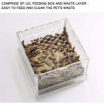 Nikou Boîte de Reptiles pour Animaux de Compagnie Habitat de Terrarium Acrylique Portable résistant à l'usure pour Les grillons de Geckos tarentules de vers de Farine