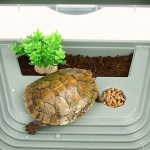 Terrarium en plastique pour reptiles et tortues Avec plateforme pente et cage de piscine Petit terrarium en plastique