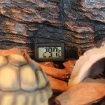 MagiDeal Thermomètre Digital pour Reptile Terrarium Sans Fil à Pile