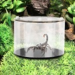 Weikeya Alimentation Boîte Qui Convient Paysage Écologique Bouteille Animaux Reproduction Boîte Acrylique Fait Lumière Transmission pour Araignées Lézards Tortue