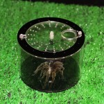Weikeya Alimentation Boîte Qui Convient Paysage Écologique Bouteille Animaux Reproduction Boîte Acrylique Fait Lumière Transmission pour Araignées Lézards Tortue