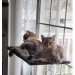 Dracarys Hamac chat fenetre Pour grands chats jusqu'à 25 kg Hamac renforcé avec ventouse puissante Bain de soleil Lit pour animaux de compagnie Pour grandes fenêtres