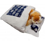 FDLFRY Lit de Chats Amovible Sac de Couchage de Chat Sac de Couchage Produits de Fournitures pour Chats BIG Pet Dog Bed Cat House Cave Confortable,2,45X30CM