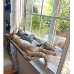 Fenêtre de lit de chat lit de siège de fenêtre de chat Hamac Design peu encombrant 1pcs ventouse supplémentaire