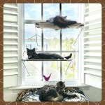 LSAIFATER Chaise Longue Bain de Soleil 360 ° et Support de sécurité inférieur en Fer Perchoir de fenêtre pour Chat Hamac pour Chat Siège de fenêtre pour Tous Les Chats