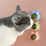 3 pièces ensemble boules d'herbe à chat à coller sur le mur boule de nettoyage des dents de chat dentaire jouet à l'herbe à chat menthe traiter jouet pour chat balles interactives cadeau chat à