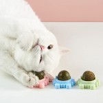 3 pièces ensemble boules d'herbe à chat à coller sur le mur boule de nettoyage des dents de chat dentaire jouet à l'herbe à chat menthe traiter jouet pour chat balles interactives cadeau chat à