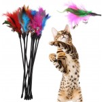 Domybest Chat Chaton jouet pour animaux coloré artificielle plumes courte Tige Interactive bâton Bell jouet Lot de 5 Couleur aléatoire