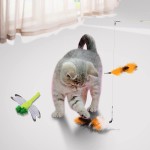 Jouets pour chat et chaton Baguette rétractable Avec clochette Recharges Jouet pour chat en intérieur Jouet interactif